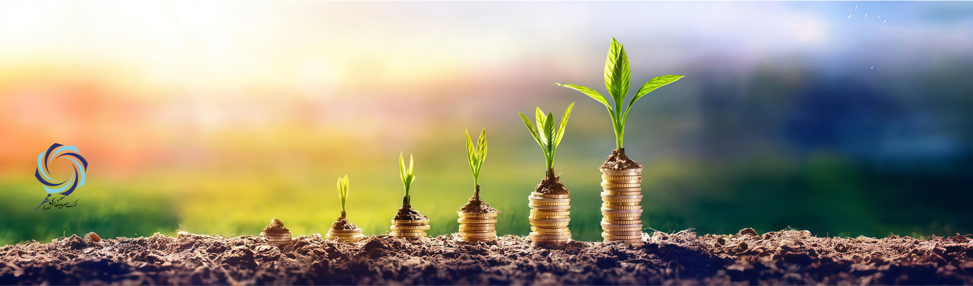 سرمایه گذاری برای تولید